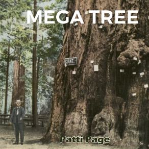Download track We Three (My Echo, My Shadow, And Me) Patti PageMy Shadow