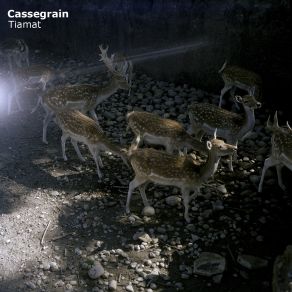 Download track Task Cassegrain