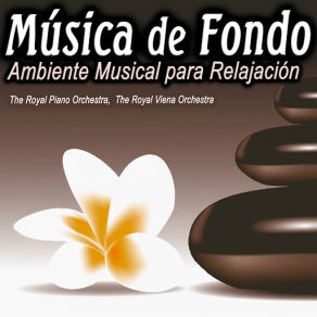 Download track It´s Not Goodbye The Royal Orchestra
