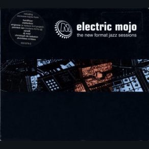 Download track Release Yo Delf (Prodigy Mix) Method Man