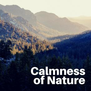 Download track Why Life Is Possible Sounds Of Nature Noise