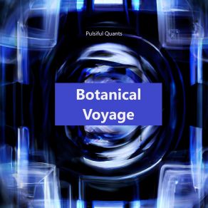 Download track Deciphering Codebreakers Pulsiful Quants