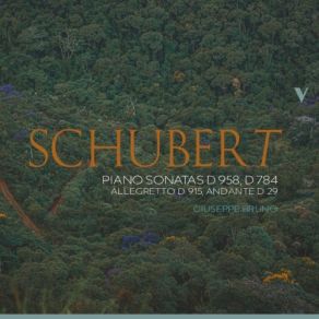 Download track Piano Sonata In C Minor, D. 958 III. Menuetto. Allegro - Trio Giuseppe Bruno
