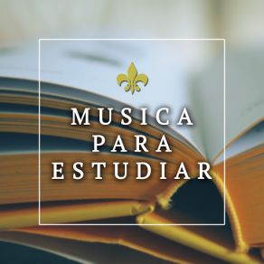 Download track Pure Concentration Musica Para EstudiarShamanic Music Tribe