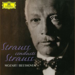 Download track Don Quixote - Variation IX. Schnell Und Sturmisch Richard StraussDon Quixote