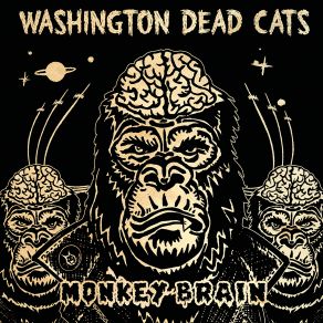 Download track I Need A Place To Cry Washington Dead Cats