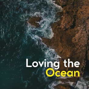 Download track Probative Ocean Relaxation Ocean Waves Academy