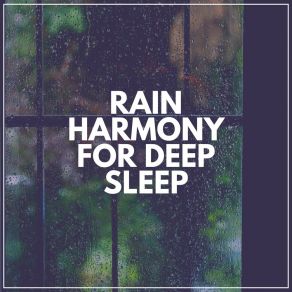 Download track 8Th Street Rain For Deep SleepingNature Soundscape