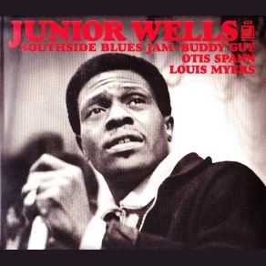 Download track Trouble Don't Last Junior Wells