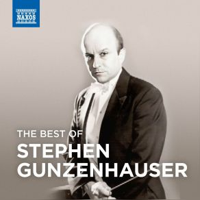 Download track Concerto For Strings In G Major, RV 151 Alla Rustica I. Presto Stephen Gunzenhauser