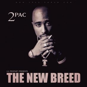 Download track Never Had A Friend Like Me (Bonus) 2Pac