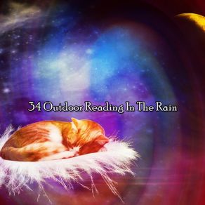 Download track Surround Yourself In Rain Rain Sounds