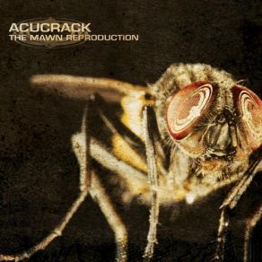 Download track Violence Acucrack
