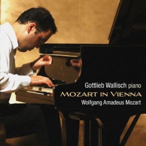 Download track Ten Variations In G Major, K. 455 - Variation IX Gottlieb Wallisch