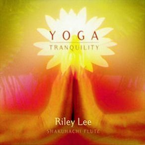Download track Soul Vibration Riley Lee