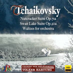 Download track Serenade For Strings, Op. 48, TH 48: II. Valse. Moderato Volker Hartung, Cologne New Philharmonic Orchestra