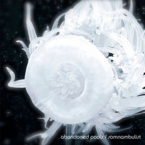 Download track Red Flag Abandoned Pools