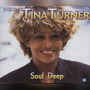 Download track I'm Looking For My Mind Tina Turner