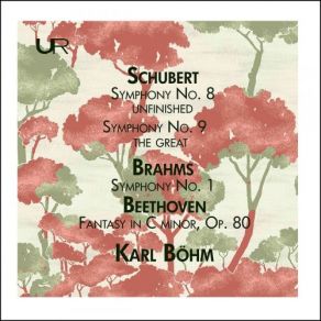 Download track Symphony No. 8 In B Minor, D. 759