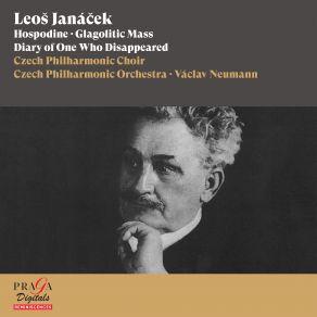 Download track Diary Of One Who Disappeared, JW V / 12: XVI. Co Jsem To Udělal Czech Philharmonic Orchestra, Václav Neumann, Czech Philharmonic ChoirMiroslav Frydlewicz