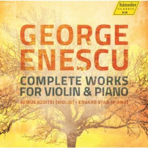 Download track Violin Sonata No. 1, Op. 2: II. Quasi Adagio Remus Azoitei