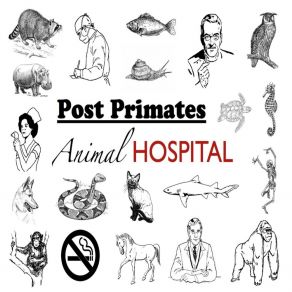 Download track Infinite Regression Post Primates