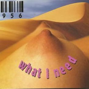Download track What I Need 956