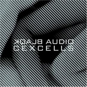 Download track Between Breaths (An XX Perspective) Blaqk Audio