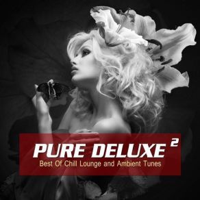 Download track Brilliant Disguise Alexl