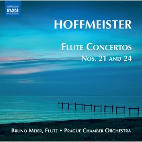 Download track Flute Concerto No. 21 In D Major - II. Romanza: Adagio Prague Chamber Orchestra, Bruno Meier