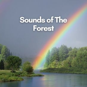 Download track Shrubs And Remote Trees Natural Sound Makers