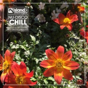 Download track Get It On Original Mix Vanilla Ace