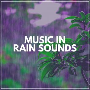 Download track Chelsea Recording NatureRain Sounds, Rain Atmospheres
