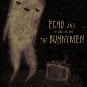 Download track Do It Clean Echo & The Bunnymen