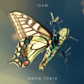 Download track Lost & Found (The Thief: Colin Stetson'S Lost & Found Redux) Amon Tobin
