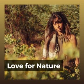 Download track When Does A Rainbow Occur In Nature Nature Soundscapes