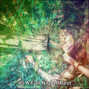 Download track Prescripted Nights Rest Nature Sounds Nature Music