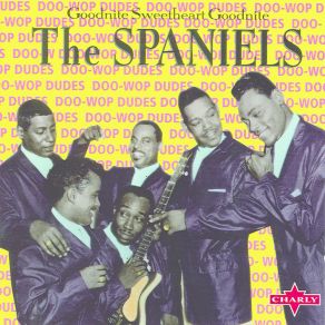 Download track You Don't Move Me Spaniels