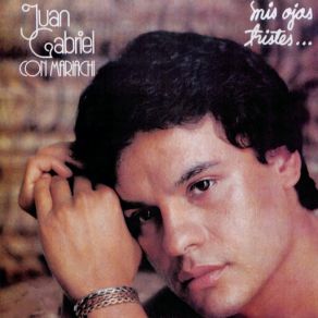 Download track Cuando Decidas Volver Juán Gabriel