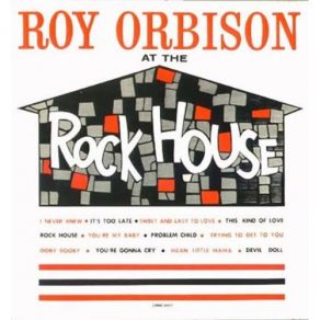Download track Trying To Get To You (Undubbed Version) Roy Orbison