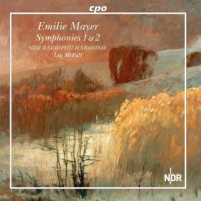 Download track Symphony No. 2 In E Minor III. Un Poco Adagio Cantabile NDR Radiophilharmonie, Leo Mcfall