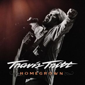 Download track I'm Gonna Be Somebody Travis Tritt