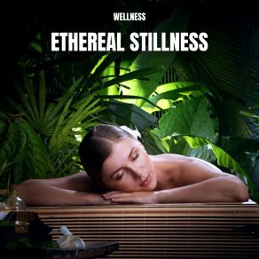 Download track Dreamy Moments Wellness