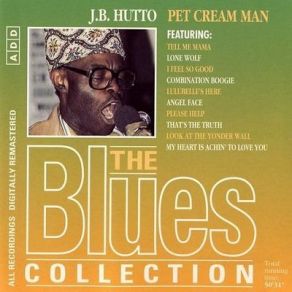 Download track Please Help J. B. Hutto