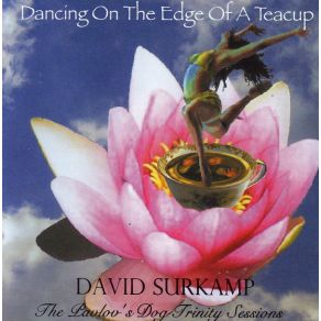 Download track Losing My Piano David Surkamp