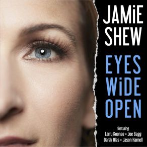 Download track The Answers Are You (Question And Answer) Jamie ShewThe Answer, Question, Larry Koonse, Joe Bagg, Darek Oles, Jason Harnell