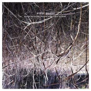 Download track Don'T Go Where I Can'T Find You Harold Budd, Robin Guthrie, Eraldo Bernocchi
