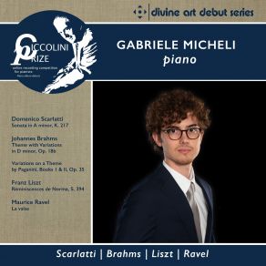 Download track 02 - Theme With Variations In D Minor, Op. 18b Gabriele Micheli