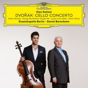 Download track 07 - I. Allegro Moderato (Arr. Soltani For Solo Cello And Cello Ensemble) Antonín Dvořák