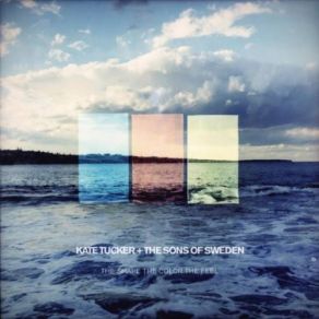 Download track The State I'm In Kate Tucker & The Sons Of Sweden